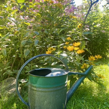 Gemeinsam Wasser sparen!