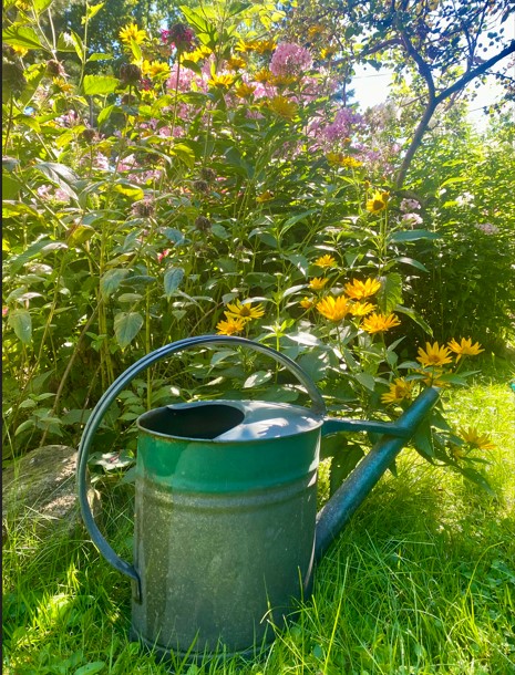 Gemeinsam Wasser sparen!