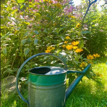 Gemeinsam Wasser sparen!
