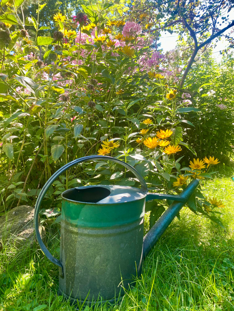 Gemeinsam Wasser sparen!