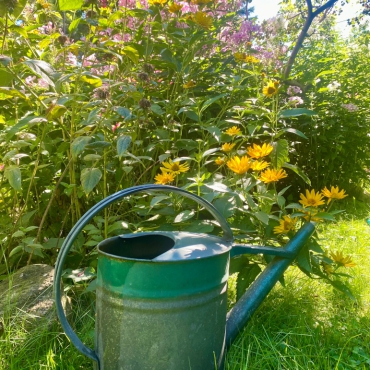Gemeinsam Wasser sparen!
