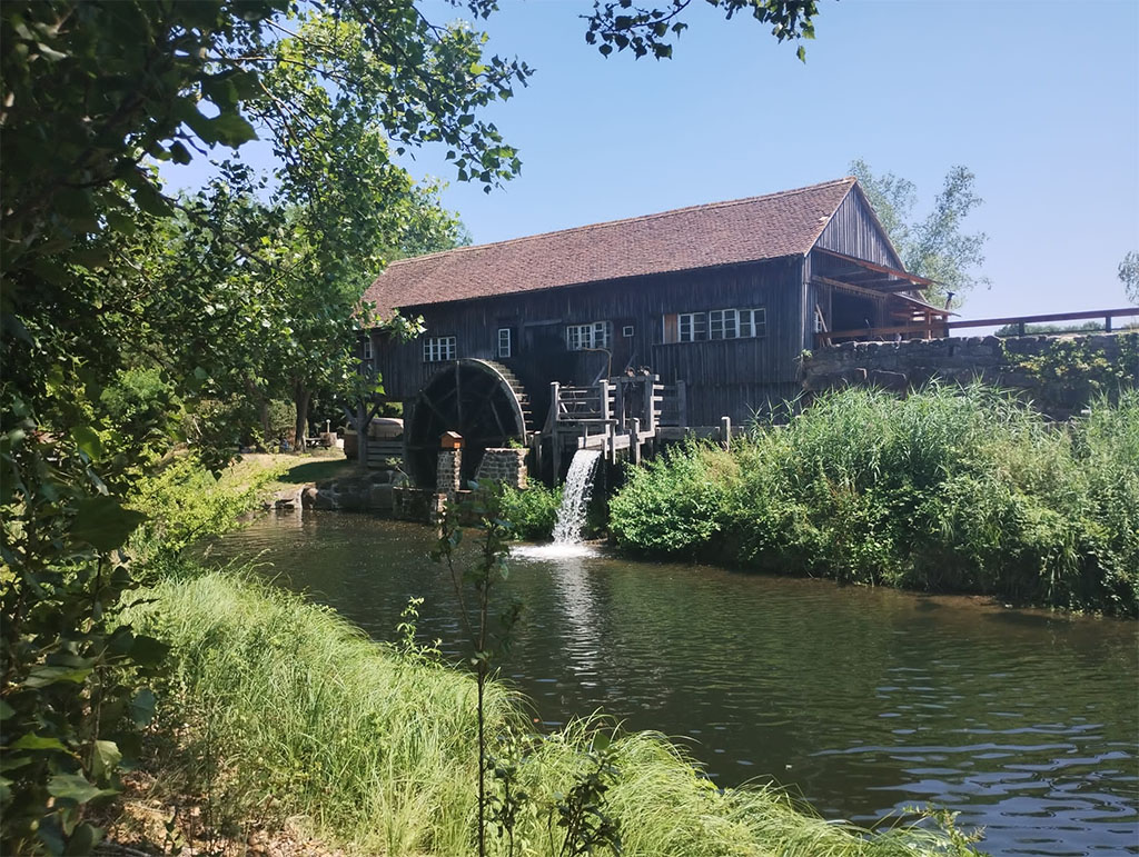 Ausflug der Tiergärtler am 24.06.2023