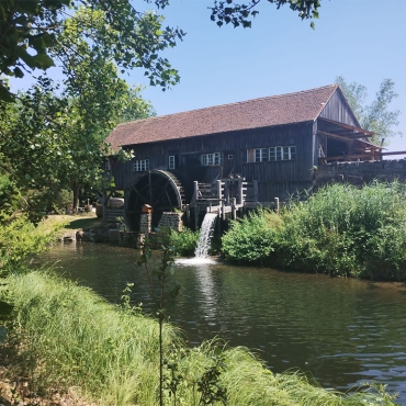 Ausflug der Tiergärtler am 24.06.2023