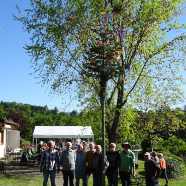 Maibäume mit   Schmuck am 30.04.2026